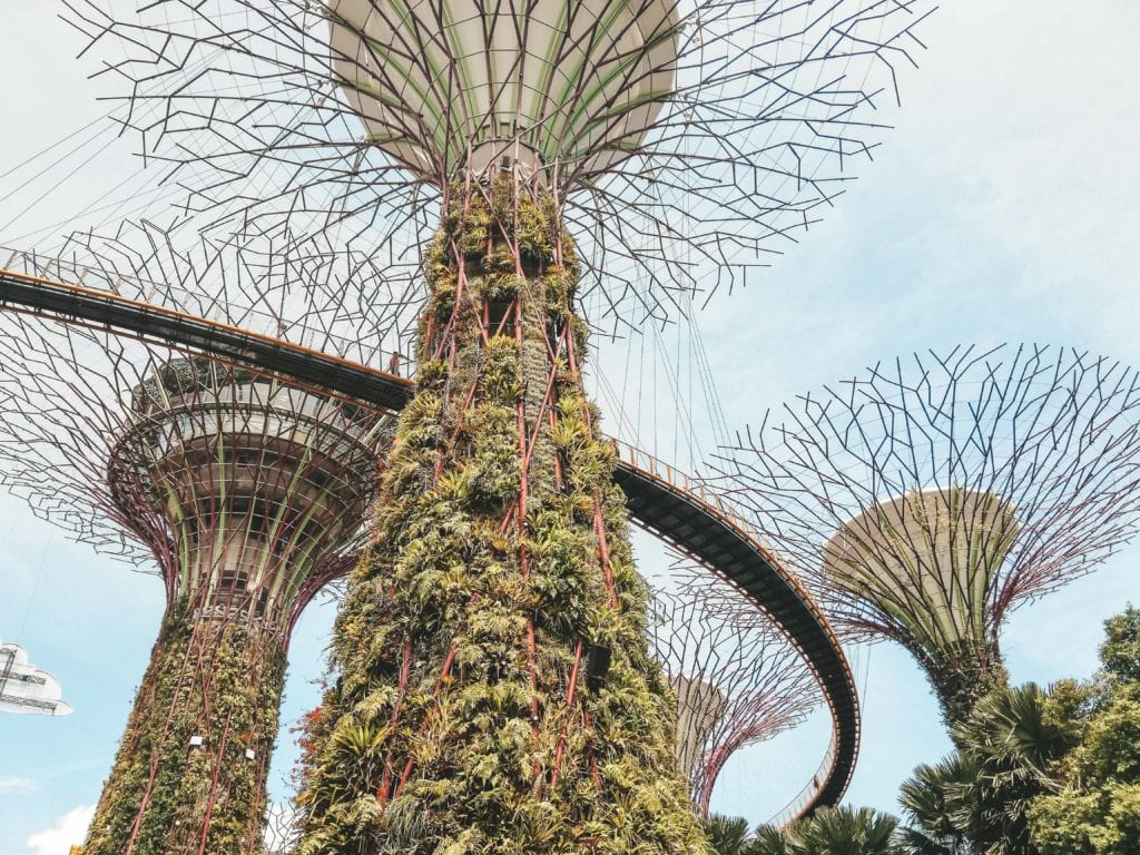 Gardens by the bay Supertrees.