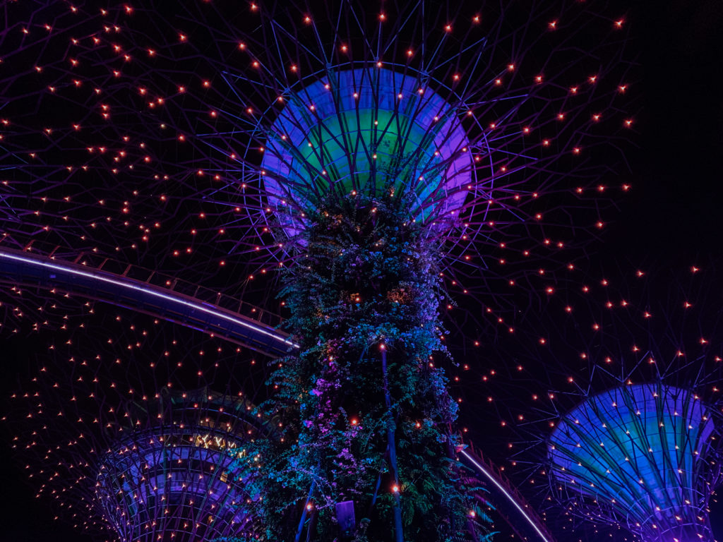 Lichtshow Singapore bomen.