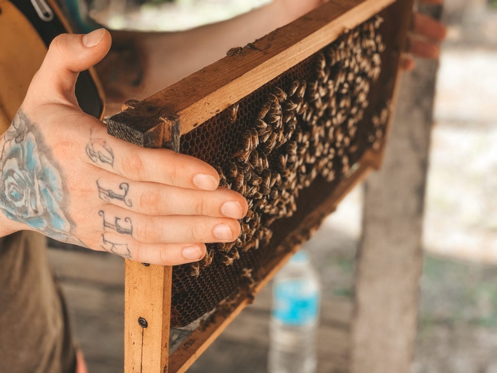 Bohol Bee Farm.