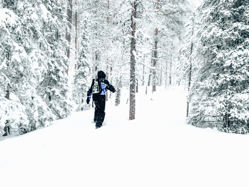 Sneeuwschoenen wandeling Finland
