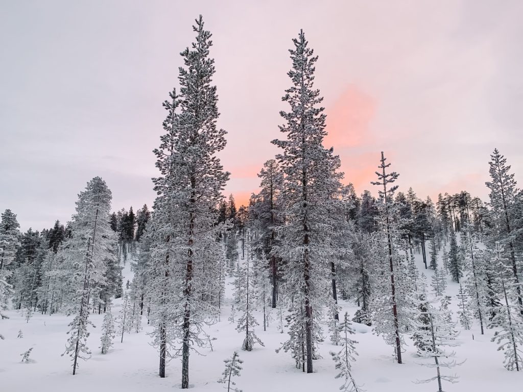 Zonsondergang Lapland